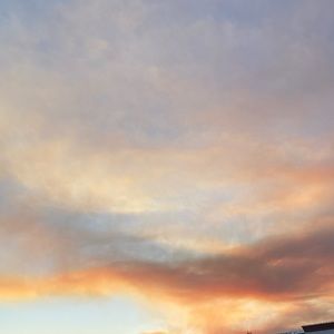 Meet your Posher, Lily